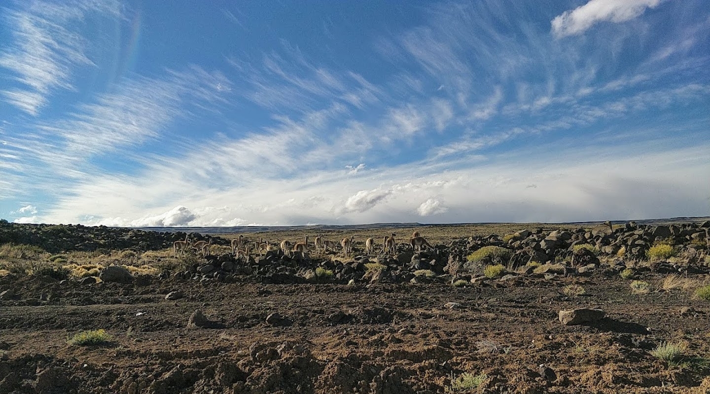 Viaje a El Chaltén, parte 1: Al sur por la 40